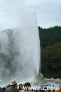 Lady Knox Geyser, Waiotapu, Rotorua