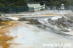 Hot pools at Whakarewarewa, Rotorua
